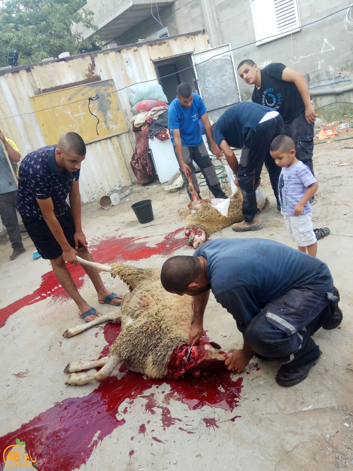 dab7 ada7y wu3ed (21).jpg